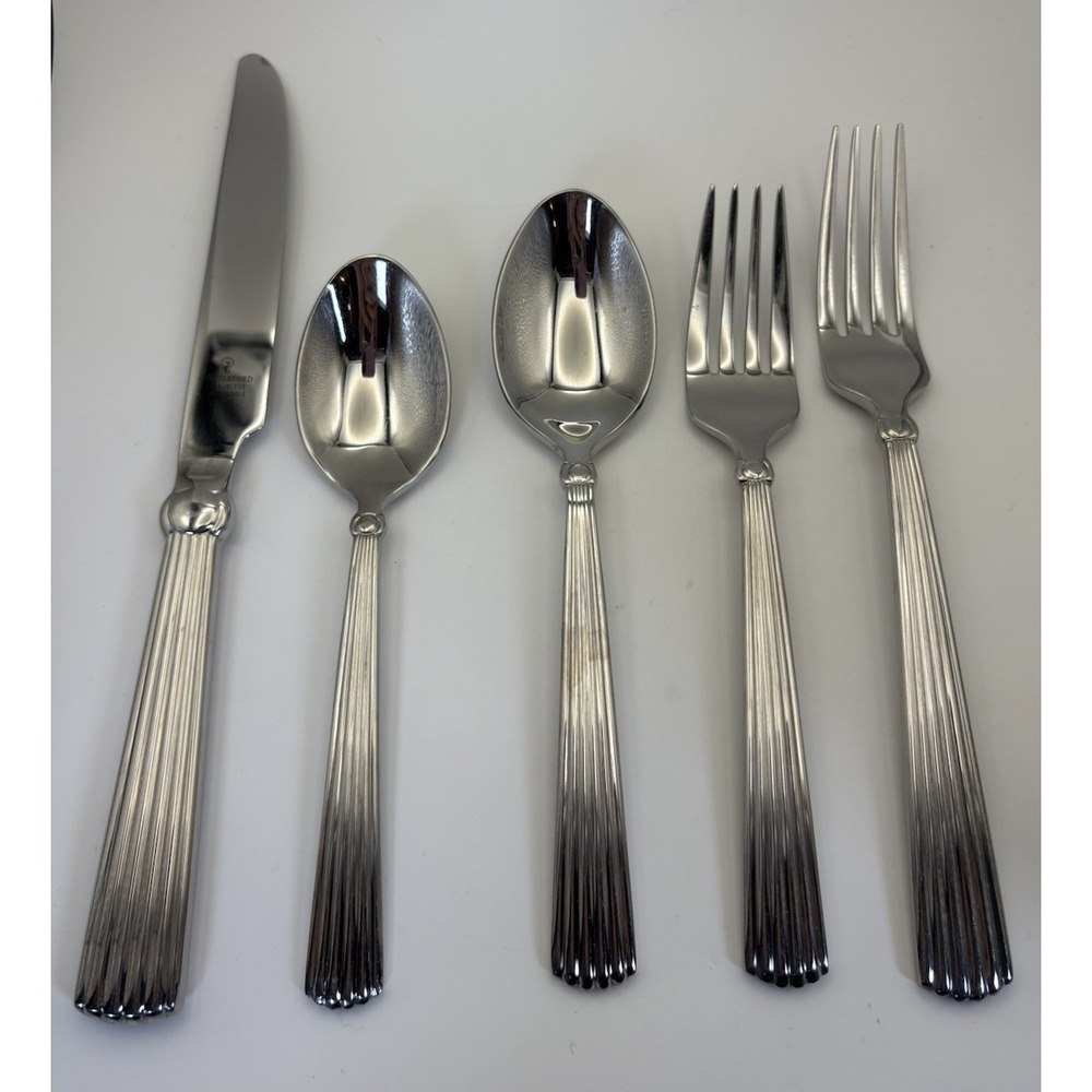 Waterford Carleton Stainless Flatware 5pc Place Setting 18/10 Glossy China